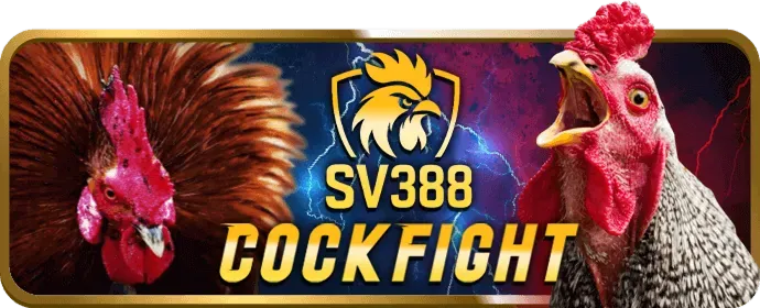 Hỗ trợ khách hàng 28bets